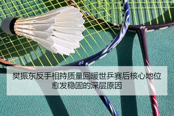 fan-zhen-dong-fan-shou-xiang-chi-zhi-liang-hui-nuan-shi-ping-sai-hou-he-xin-di-wei-yu-fa-wen-gu-de-shen-ceng-yuan-yin-2-115.jpg